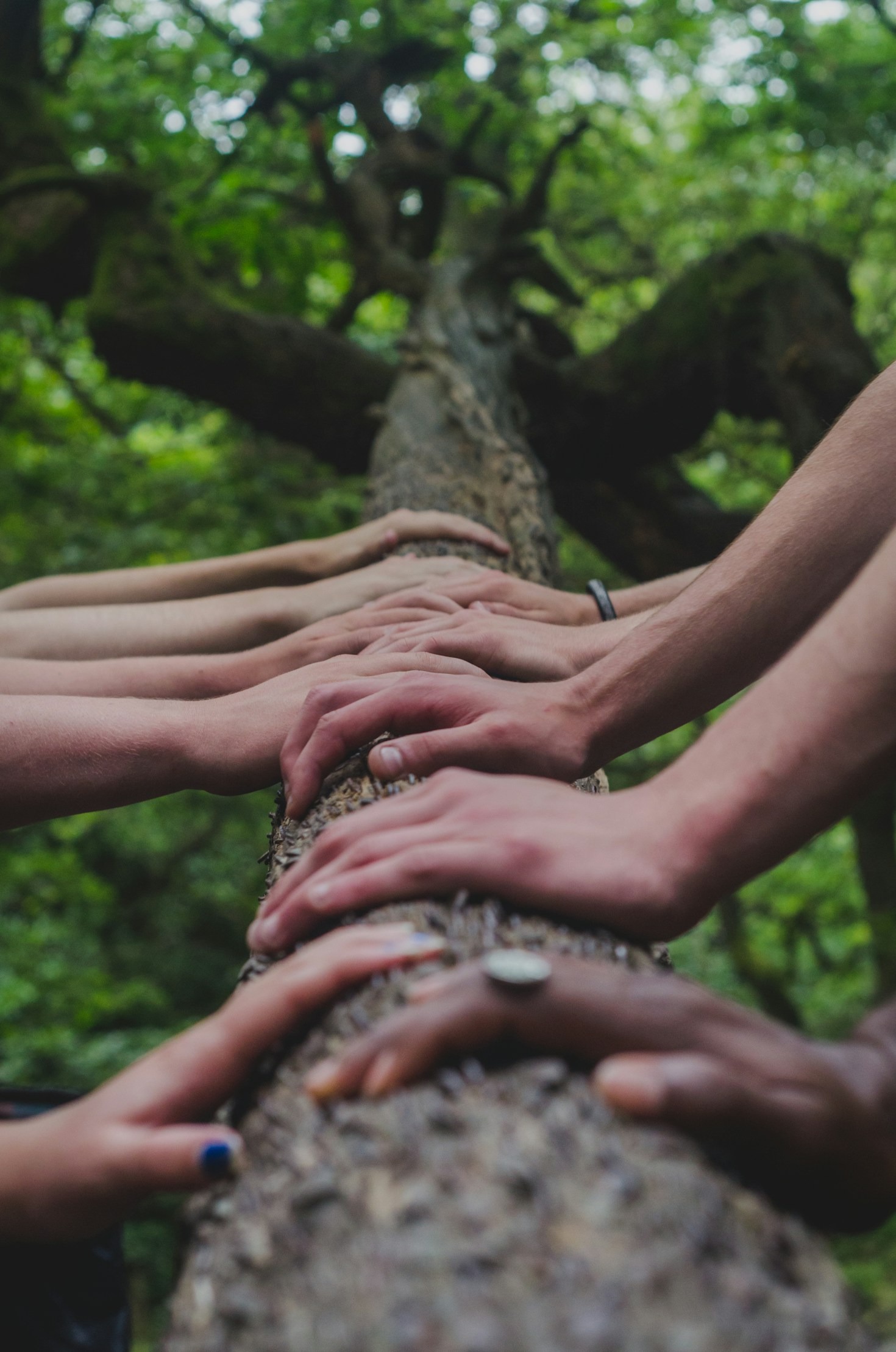 Connecting With Audiences Through Fresh Faith Narratives